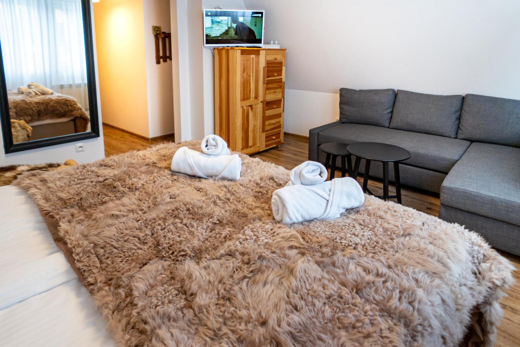 Owca I Baran Zakopane