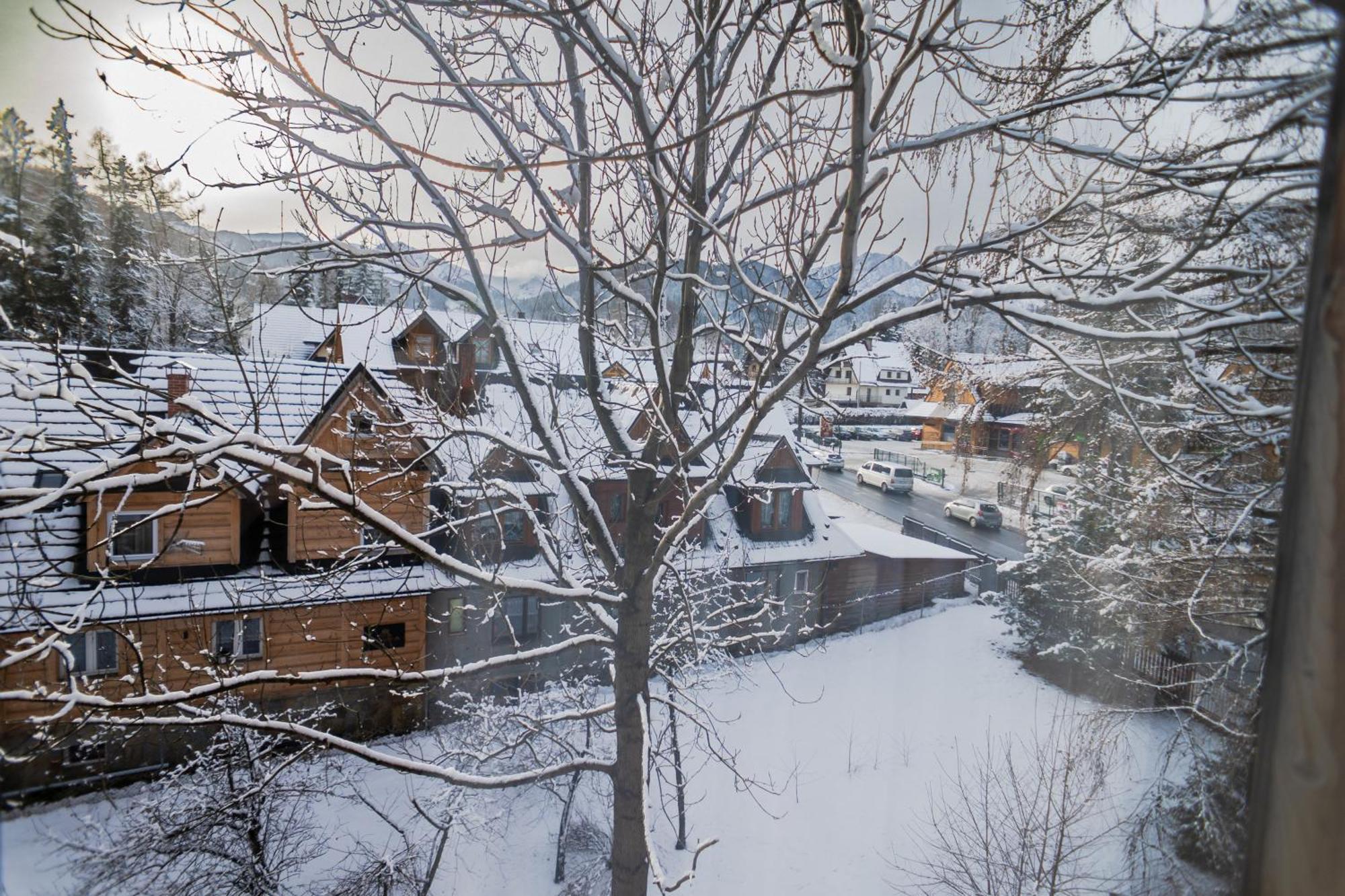 Owca I Baran Bed & Breakfast Zakopane